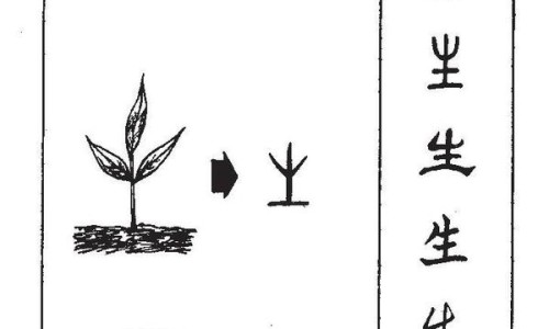 达克宁的副作用和禁忌症-达克宁副作用大吗网 | 达克宁的副作用和禁忌症,达克宁付作用是什么