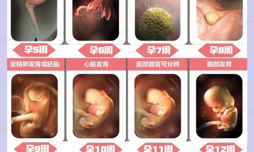 达克宁对身体有害吗-达克宁副作用大吗网 | 达克宁的副作用和禁忌症,达克宁付作用是什么